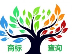 如何應(yīng)對(duì)商標(biāo)查詢盲期？
